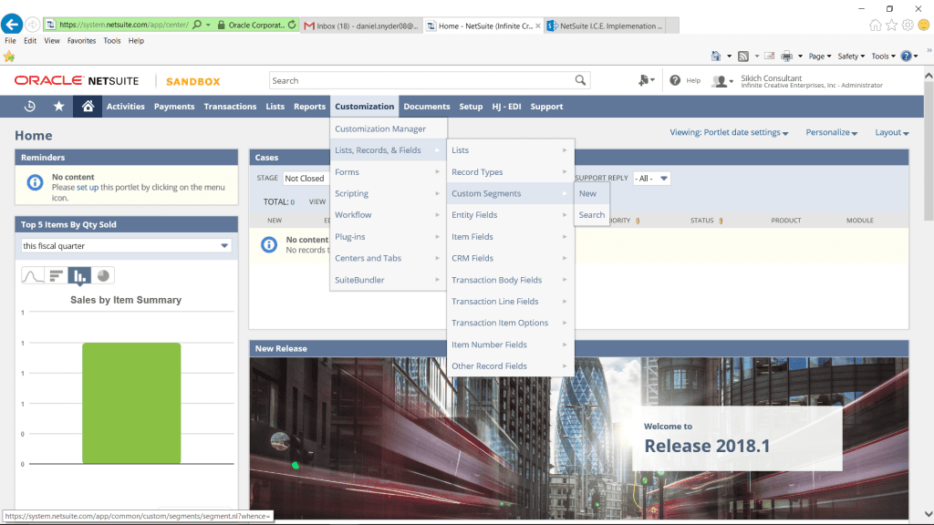 custom segments in netsuite