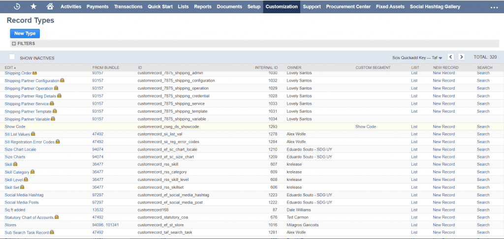 NetSuite Custom Record