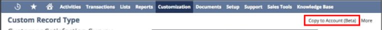 NetSuite Copy to Account