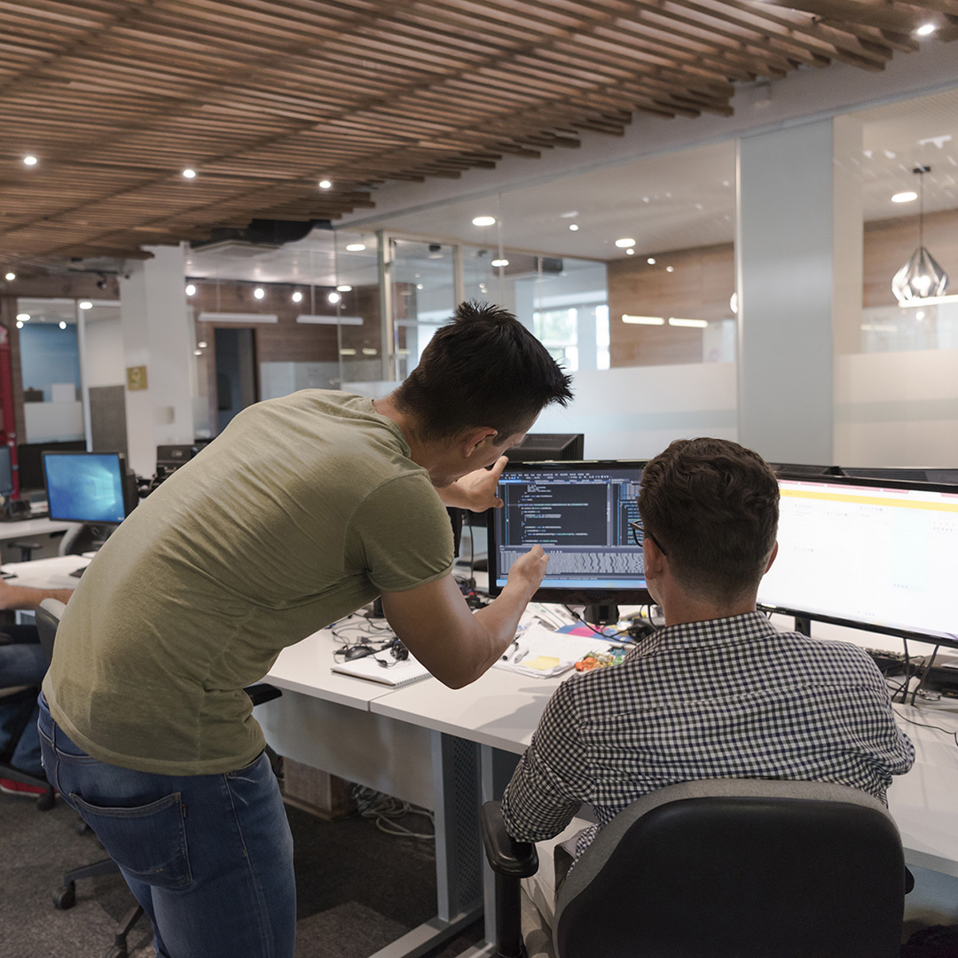 NetSuite Developer Role in 2019.1 Update