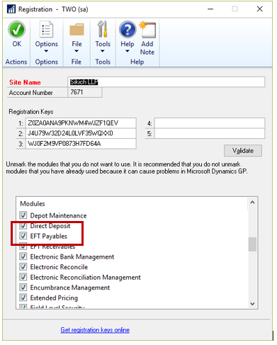 Dynamics GP EFT Payments