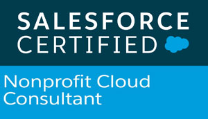 Salesforce Certified Nonprofit cloud consultant