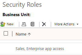 assigning a security role for a custom app