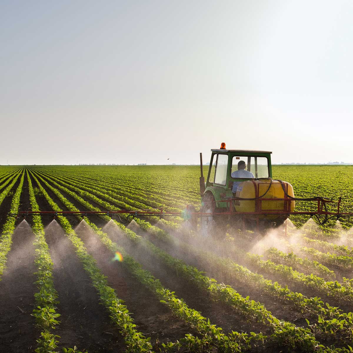 Tractor spraying soybean field