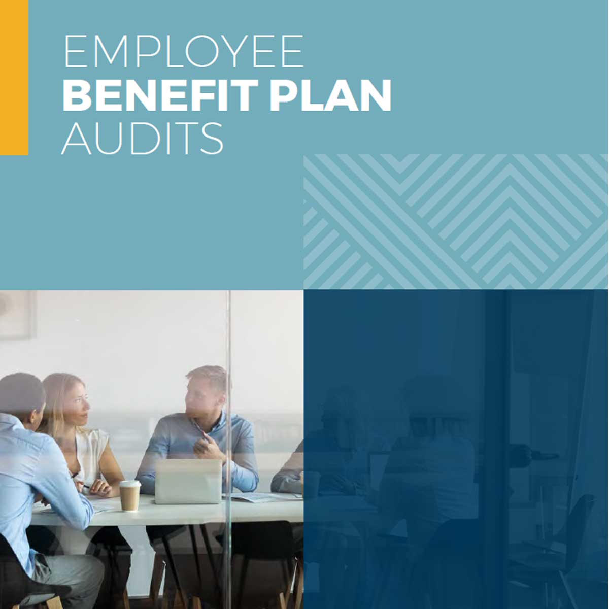 Employee-benefit-plan-audit-brochure-title-page