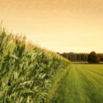 It’s time to plan for 2021 and beyond in the agriculture industry