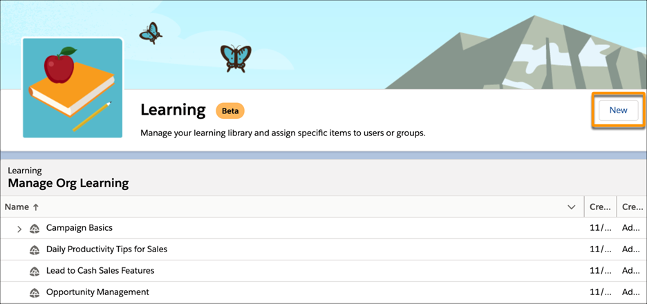 In-app Salesforce Learning