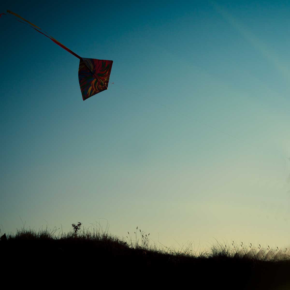 shadow image of a kite flying in the sky at sunset over a field of grass