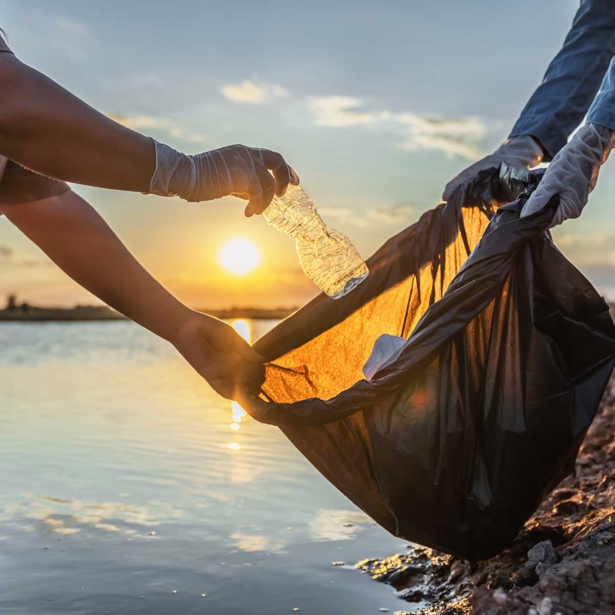 stewardship and community; people volunteer keeping garbage plastic bottle into black bag on river in sunset