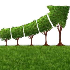 graphic illustration of trees and a rising arrow representing inflation in agriculture
