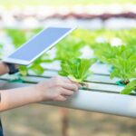 What to Expect for the Agriculture Industry with Potential Tax Changes on the Horizon