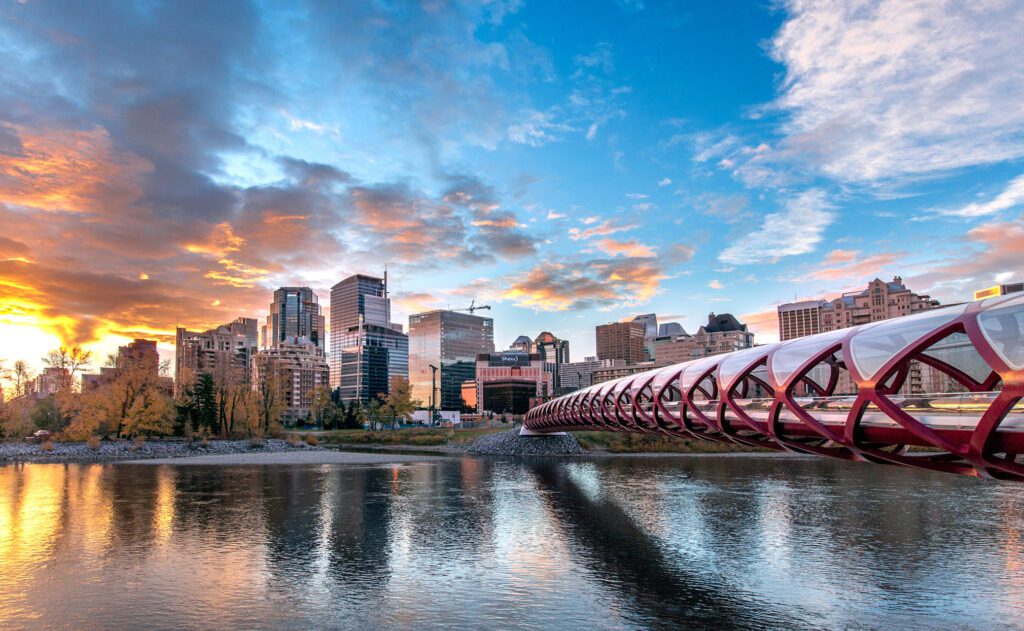 Calgary Economic Development CRM case study