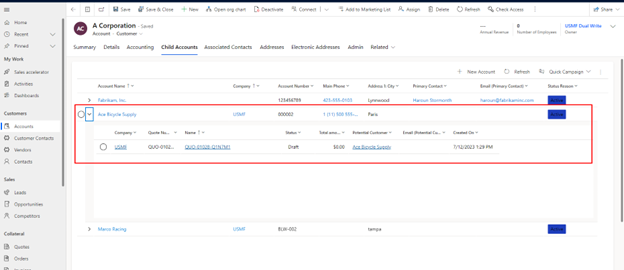 editing child accounts in Dynamics 365 CRM