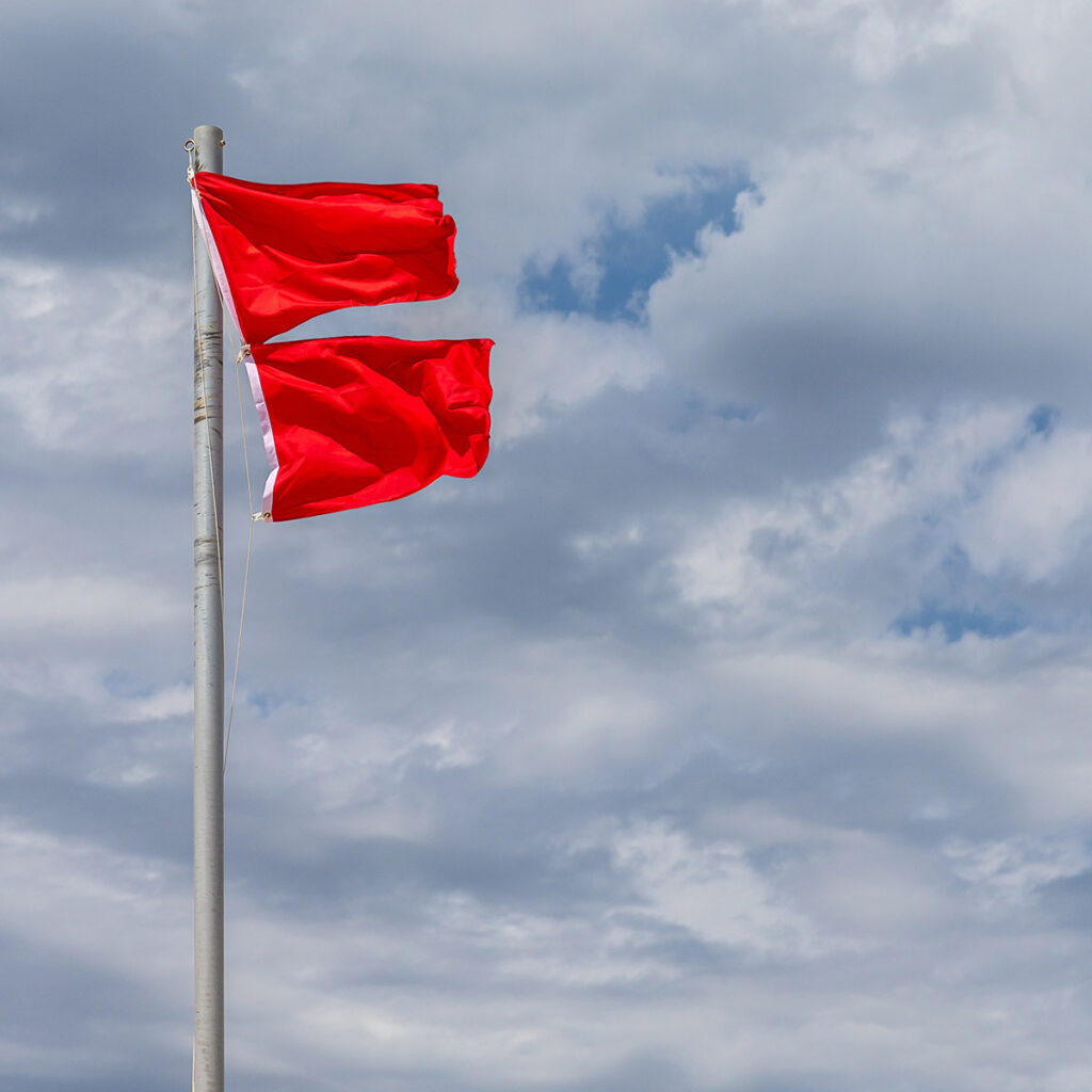 Red Flag Report: Your Unique Summary of Findings Before an Acquisition