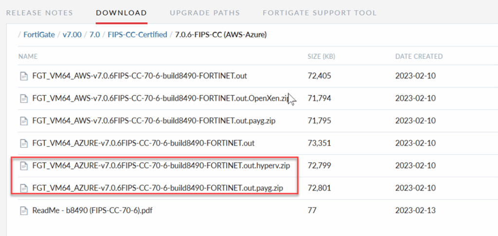 download the VM version of Fortigate