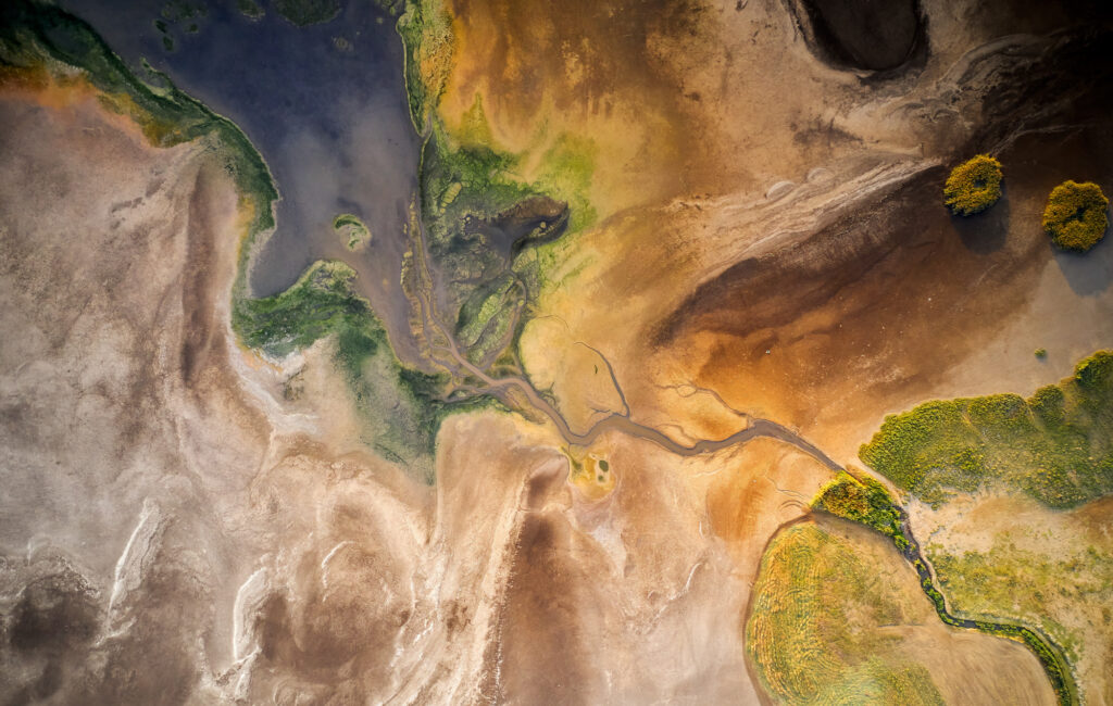 Webinar: 2026 global economic outlook: risks, opportunities, and what's ahead