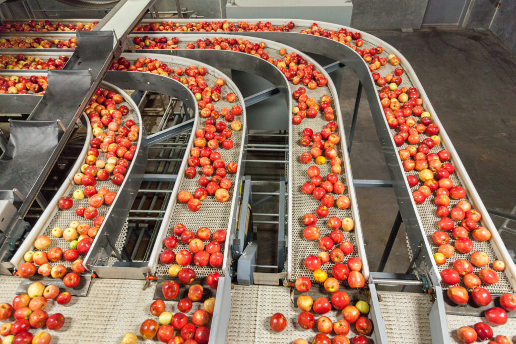 From manual processes to modern ERP: How one client transforms operations