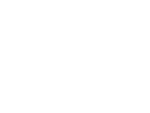 NetSuite_2021_5_star_logo_sm_wt