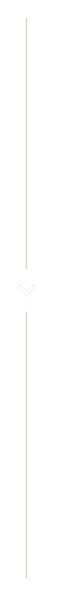 vertical-arrow-medium